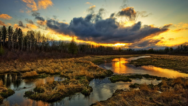outstanding sunset over wetlands, wetlands, sunset, trees, clouds, HD wallpaper
