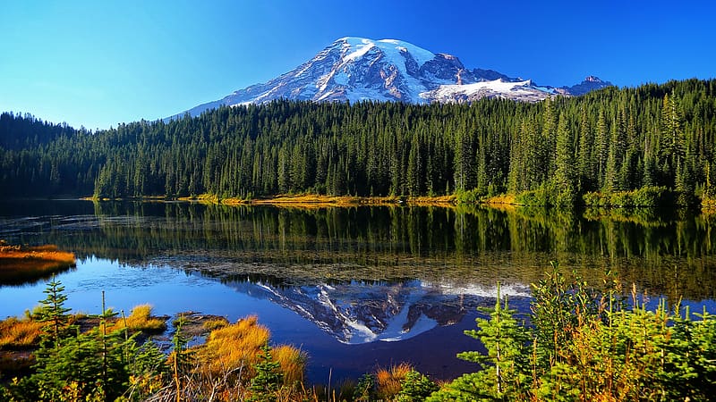 Beginning Autumn At Mount Rainier NP, Washington, lake, fall, colors, landscape, trees, forest, usa, HD wallpaper