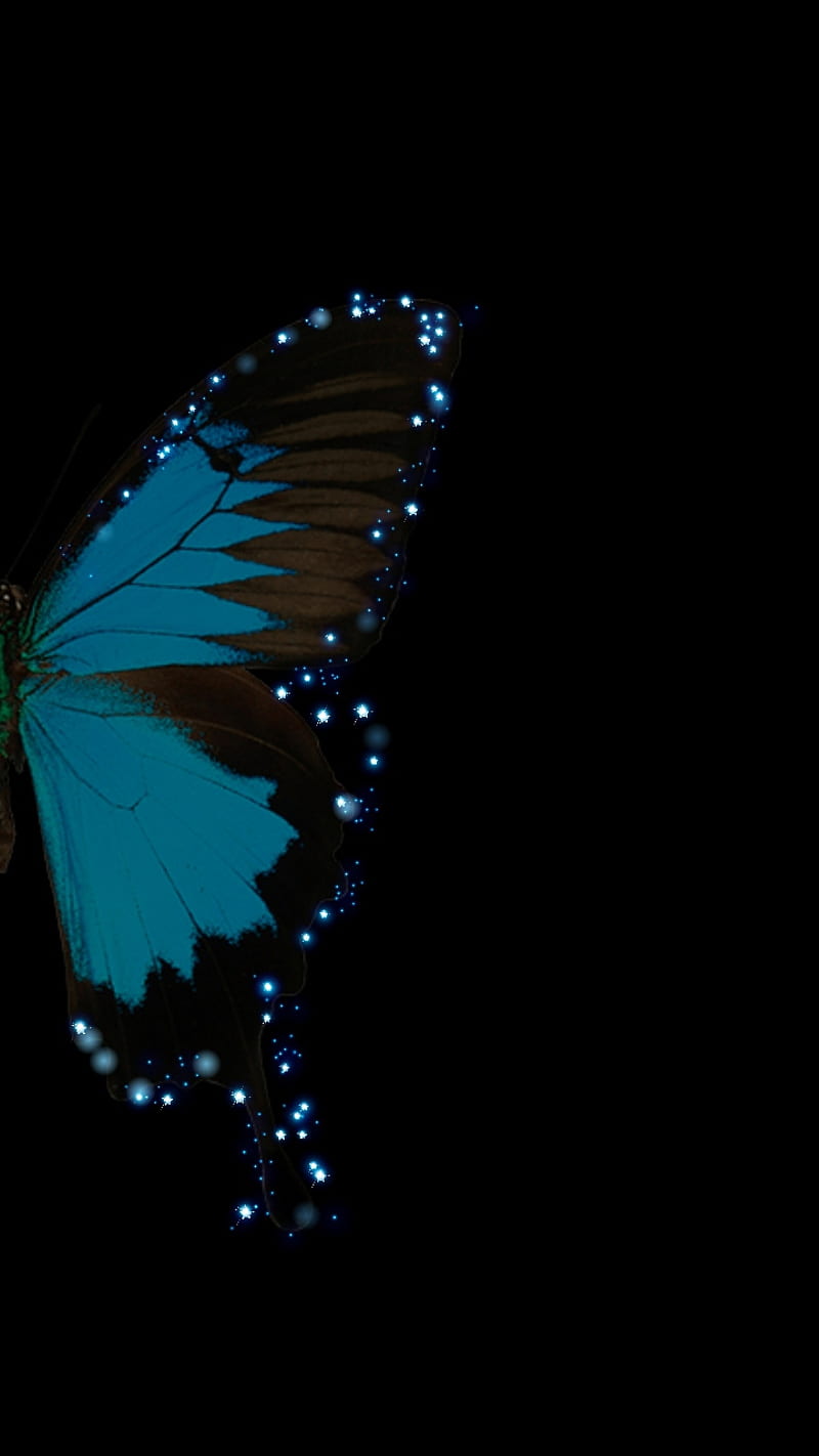 Butterfly , black, butterflies, HD phone wallpaper