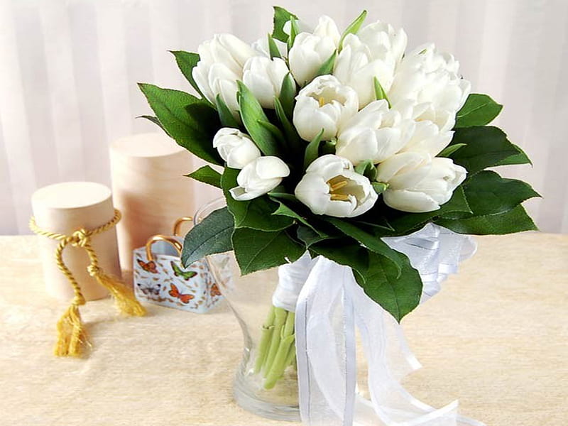 White Tulips, pretty, vase, bonito, still life, graphy, flowers, beauty, nature, tulips, white, tulip, HD wallpaper