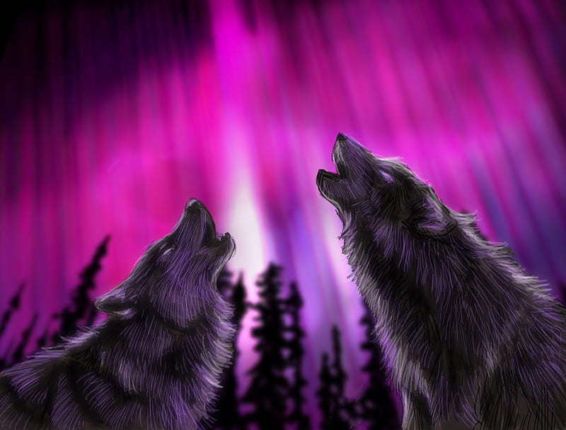 HOWLING IN THE NORTHERN LIGHTS, pink, wolves, animals, howling, HD wallpaper
