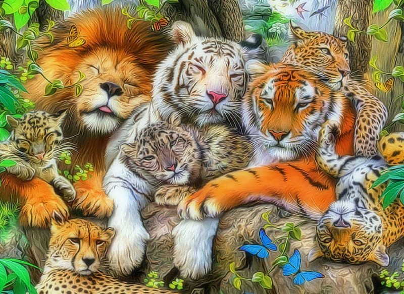 ★Big Wild Cat Nap★, family, leopards, tigers, digital art, seasons, paintings, love, jungle, forests, drawings, butterfly designs, lions, animals, love four seasons, birds, creative pre-made, butterflies, nap, big wild cats, warmth, weird things people wear, summer, wildlife, beloved valentines, HD wallpaper
