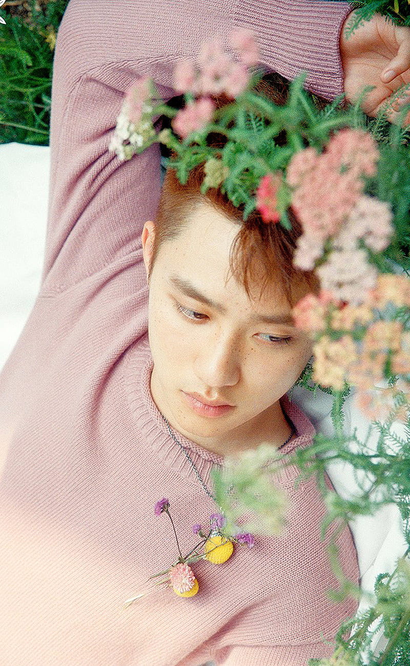 Do Kyungsoo, cute, exo, flowers, HD phone wallpaper