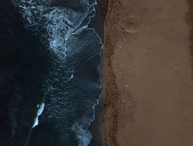 coast, beach, sea, aerial view, water, HD wallpaper
