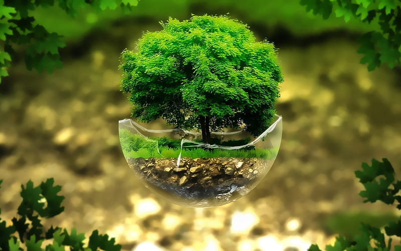 Green tree, glass ball, ecology concepts, bokeh, tree in ball, creative,  sphere, HD wallpaper | Peakpx