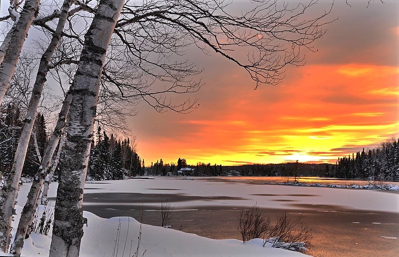 Winter sunset, teli, naplemente, fak, folyo, havas, ho, HD wallpaper