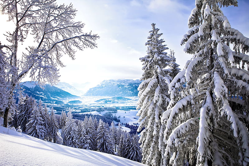 Winter landscape, forest, view, bonito, trees, ski, winter, cold, mountain, snow, slope, landscape, frost, HD wallpaper
