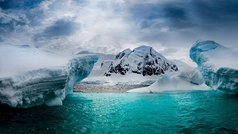 Half-Moon Island in Antarctica, Islands, Oceans, Ice, Seal, Glaciers,  Nature, HD wallpaper | Peakpx