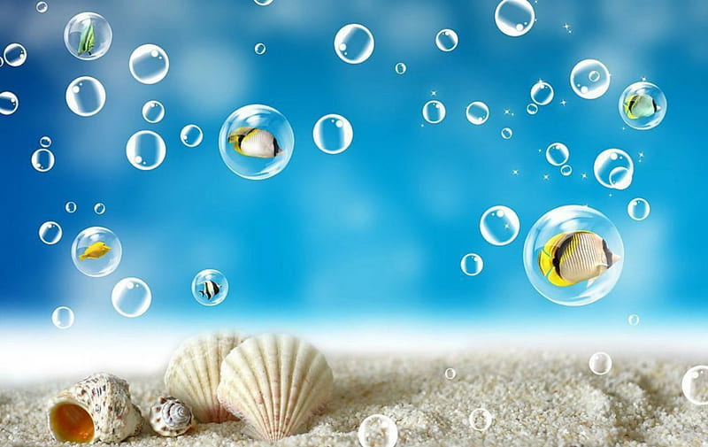 Shells, bubbles, fish, sands, HD wallpaper