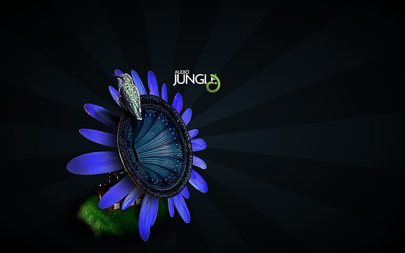 Audio Jungle Flower, flower, jungle, audio, HD wallpaper