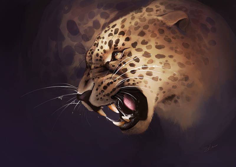 leopard, grin, aggression, predator, art, HD wallpaper