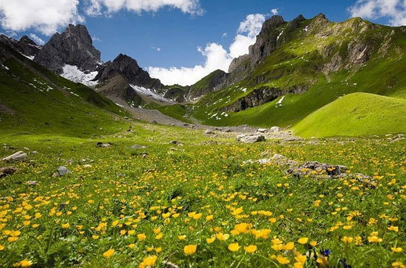 Pirin Mountain, pretty, grass, spring, mountain, graphy, nice, green ...