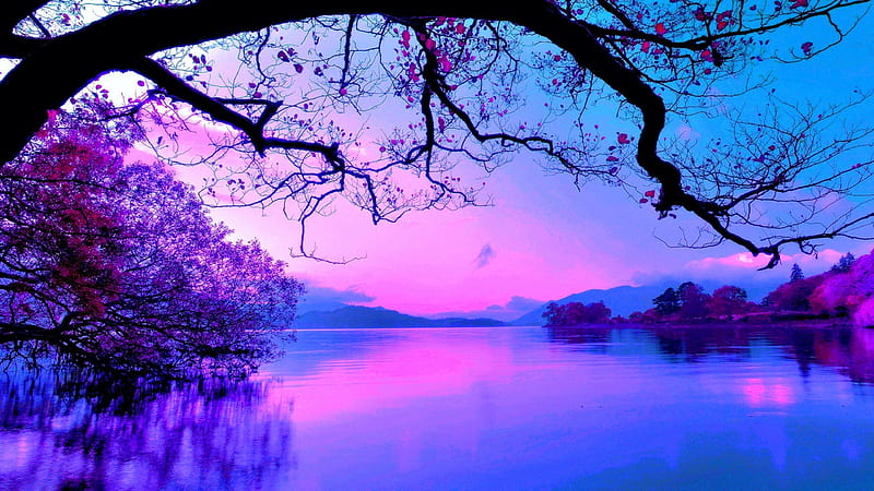 Purple And Indigo Sky Nature Photography, Beautiful, 53% OFF