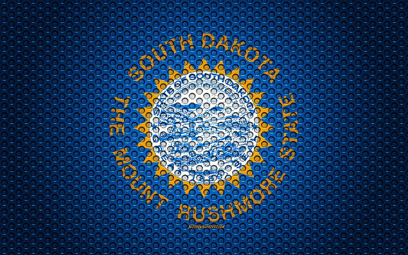 Flag of South Dakota American state, creative art, metal mesh texture, South Dakota flag, national symbol, South Dakota, USA, flags of American states, HD wallpaper