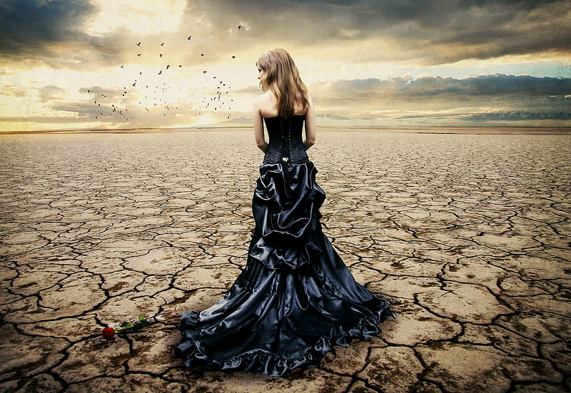 Nothing Without You, desert, dress, drought, rose, birds, bonito, sky, woman, clouds, fantasy, girl, black dress, HD wallpaper