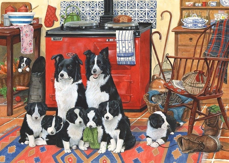 Meet the family, puppy, painting, border collie, pictura, tracy hall, caine, dog, art, kitchen, HD wallpaper