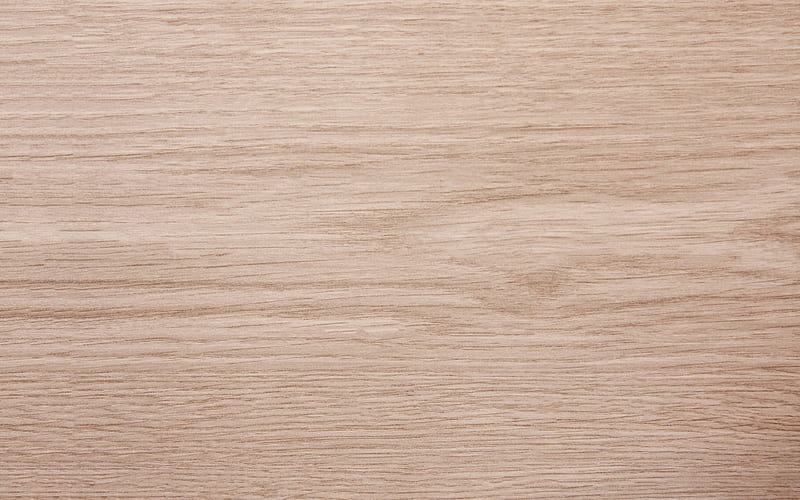 light wood texture, wood background, natural materials, wood, texture, HD wallpaper