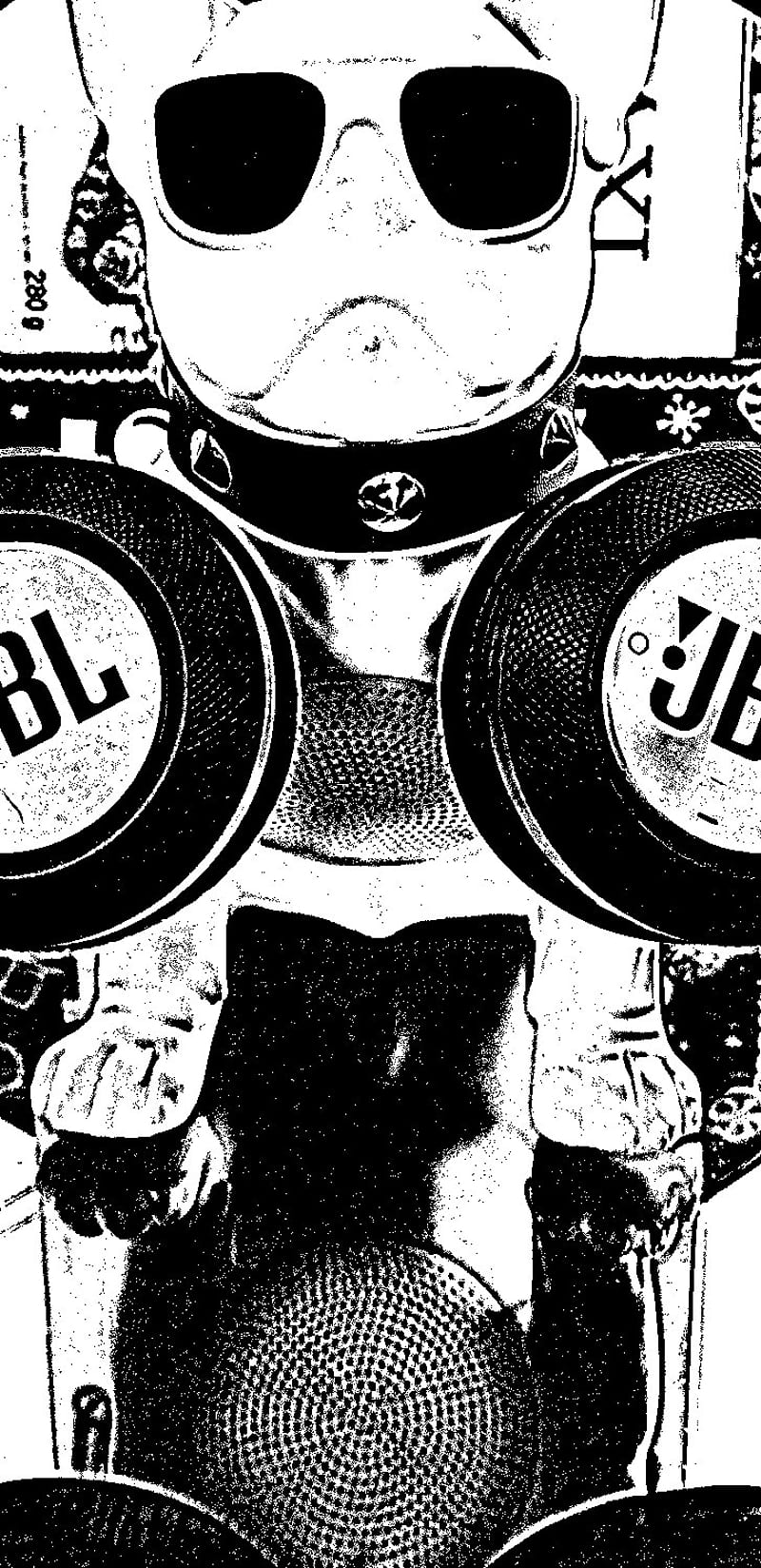 jbl 1080P 2k 4k Full HD Wallpapers Backgrounds Free Download  Wallpaper  Crafter