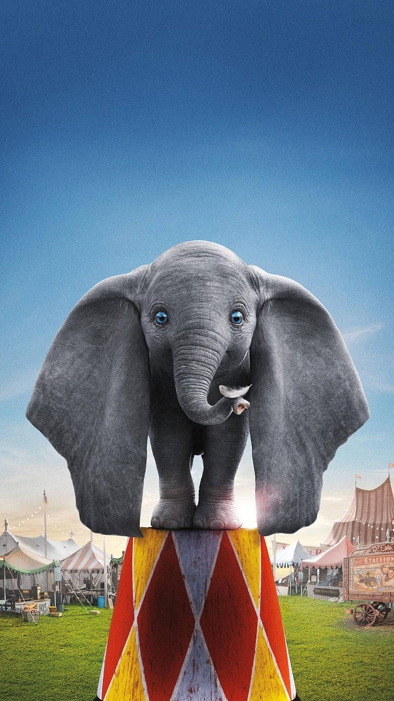 Dumbo Standing Outside, HD phone wallpaper