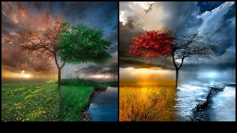 Seasons of Change, red, sun, brown, grass, orange, ground, yellow, soil, low horizon, seasons, straw, clouds, puffy, brook, leaves, green, texture, flowers, details, pink, blue, black, creative, mist, tree, water, snow, ice, blossoms, nature, white, branches, HD wallpaper