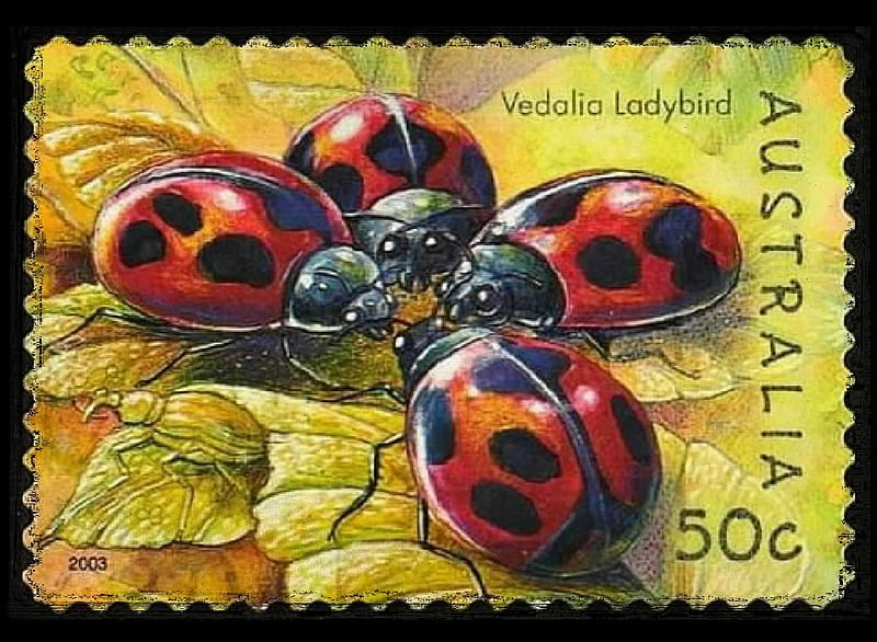 Australian stamps, stamps, jnsect, ladybug, Australia, collectables, Philately, entomology, ephemera, HD wallpaper