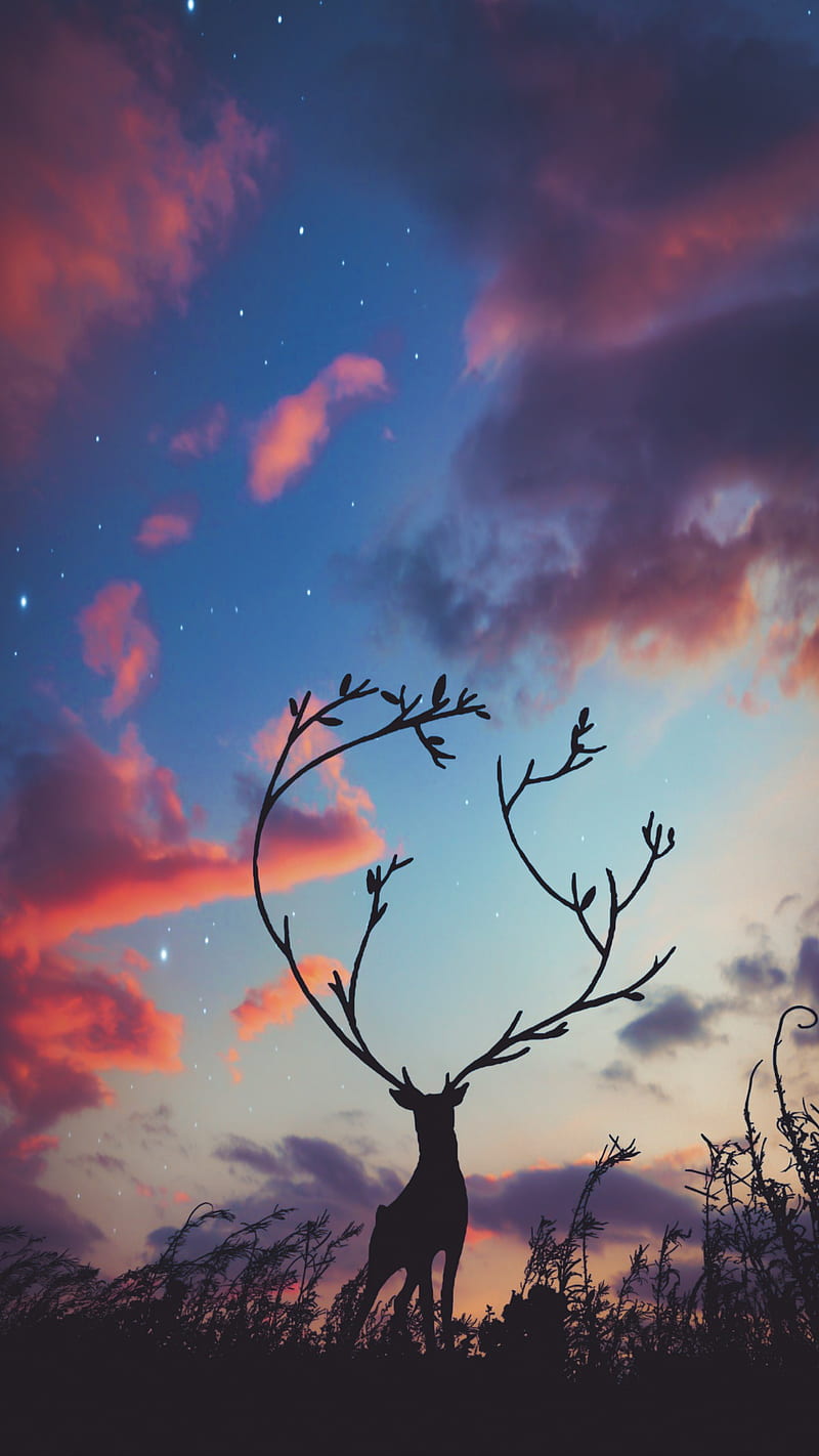Magic Forest, Magic, Nock, animals, bonito, branches, clouds, deer, evening, forest, imagination, magical, nature, red, silhouette, skies, sky, stary sky, sunset, visual, HD phone wallpaper