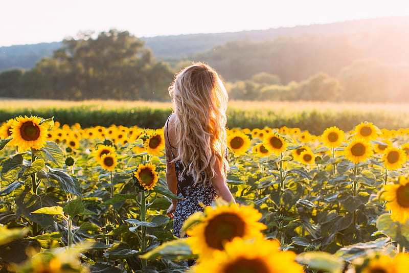 Sunflower Girl, sunlight, bonito, sunflower, woman, graphy, girl, sunflowers, beauty, field, HD wallpaper