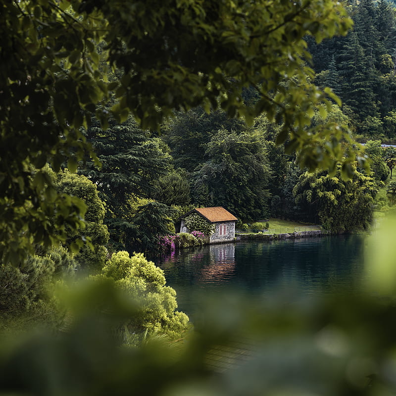 house, lake, trees, comfort, HD phone wallpaper