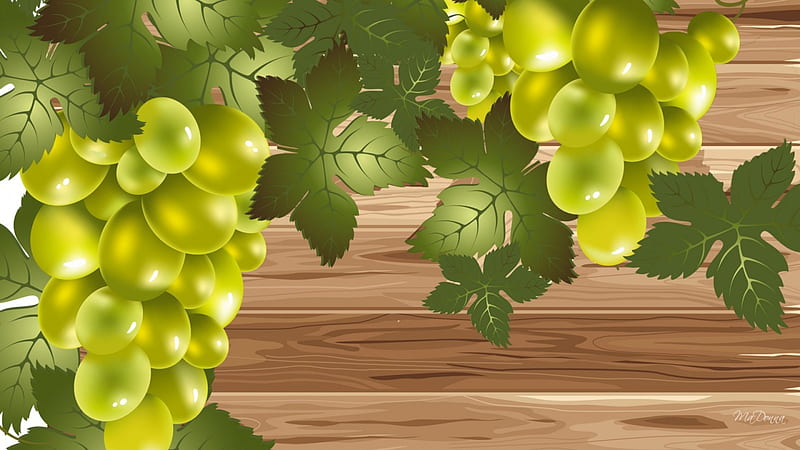 Grape Vines on Wood, fall, autumn, harvest, wine, vineyard, sweet, fruit, grapes, leaves, panel, taste, tasty, winery, wood, HD wallpaper