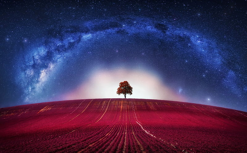 the Tree, red, stars, luminos, milky way, sky, tree, fantasy, cosmos, field, landscape, blue, HD wallpaper