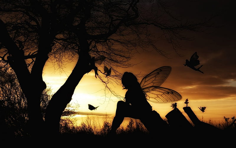 Fairies at dusk, sunset, tree, grass, fairy, HD wallpaper | Peakpx