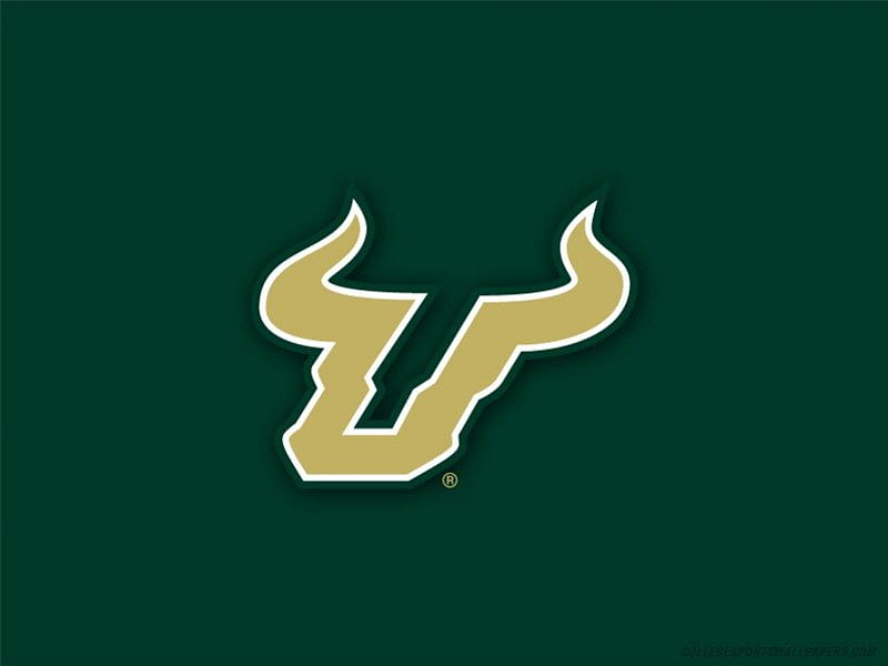 USF Logo, bulls, university of south florida, HD wallpaper