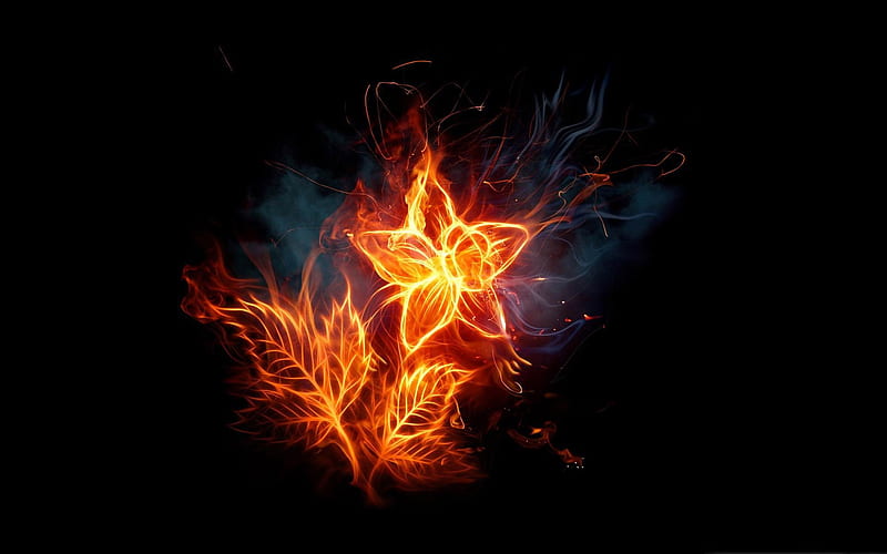 fire flower-The fire of artistic creativity design, HD wallpaper