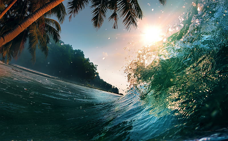 Stormy Sea, beach, watr, tropical, coast, palms, HD wallpaper