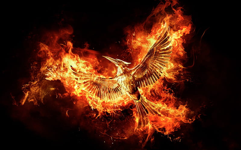 The Hunger Games MockingJay Part 2 Movie, the-hunger-games, movies, fire, bird, art, digital-art, HD wallpaper