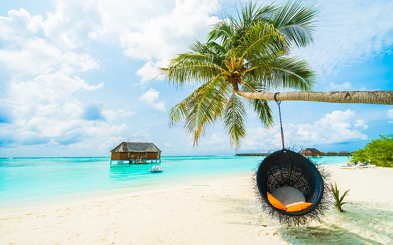 Maldives, beach, palm chair, summer, bungalows, tropical islands, ocean, pendant chair, HD wallpaper