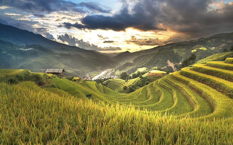 mountain landscape, valley, terraces, Vietnam, evening, sunset, mountains, HD wallpaper