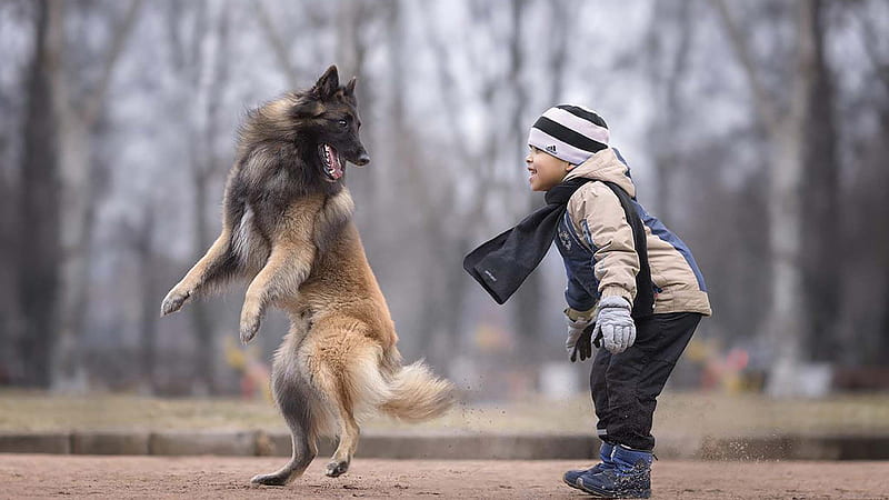 Boy Is Playing With Dog In Blur Background Wearing Sandal Overcoat With Black Scarf And Cap Cute, HD wallpaper