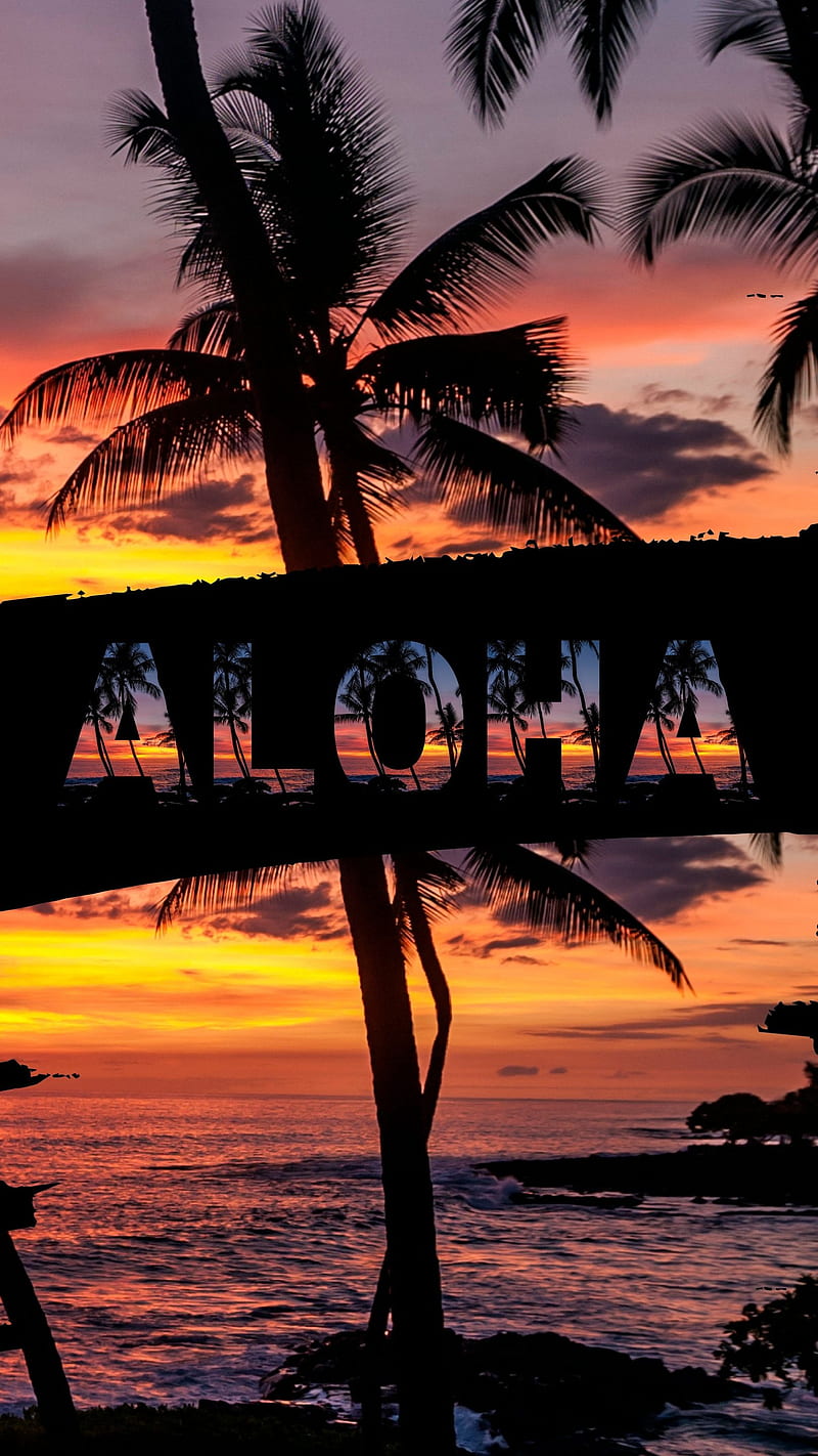 Aloha Hawaii, aloha spirit, beachy Waves honolulu, floral, girly, good vibes, hawaii, hawaiian shore, maui paradise, palm trees, tropical beach, HD phone wallpaper
