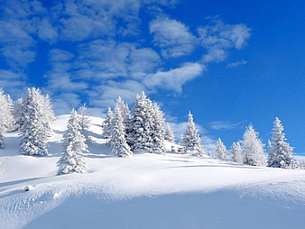 Không gian Giáng sinh trên đồi núi phong cảnh đẹp như trong sách truyện cổ tích. Những ngôi nhà gỗ nhỏ nhắn và tuyết phủ trắng xóa kèm theo những đôi tay nghệ thuật trang trí Noel giúp tạo nên một không gian ấm cúng và thân thiện. Hãy cùng đắm mình trong không khí Noel trên đồi núi phong cảnh và cảm nhận nhịp sống đích thực của một mùa lễ hội.