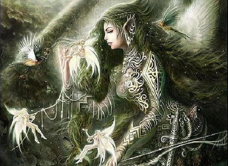 Elf And Fairies, fairies, forest, companions, elf, HD wallpaper