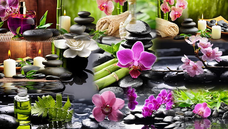 Spa Sensations, candle, rest, rocks, relax, loofah, bonito, collage, oils, bamboo, orchids, ferns, flowers, greens, HD wallpaper