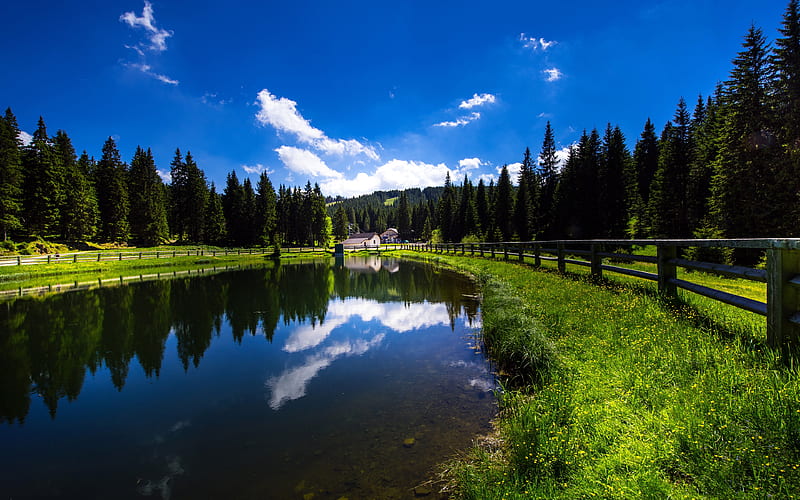 Slovenia, lake, forest, summer, HD wallpaper