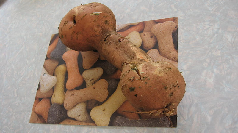 Bone Shaped -Sweet potato, sweet potato, bone shaped, orange, homegrown, HD wallpaper