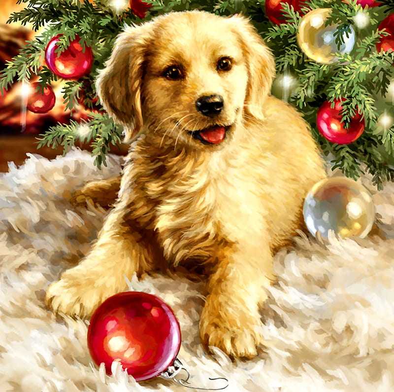Christmas Puppy F, Christmas, ornaments, art, holiday, December, bonito ...