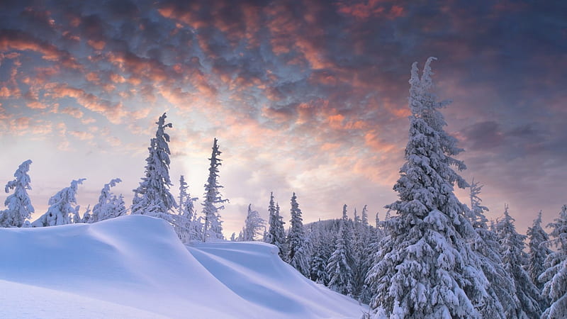 outstanding winter scene, snow, trees, clouds, hill, winter, HD wallpaper