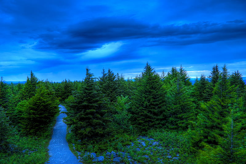 Waiting for Dawn, spruce knob, west virginia, trees, clouds, storm, HD wallpaper