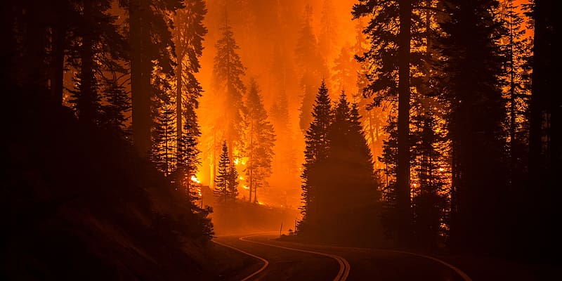 The science of how climate change impacts fires in the West, Wildfire, HD wallpaper