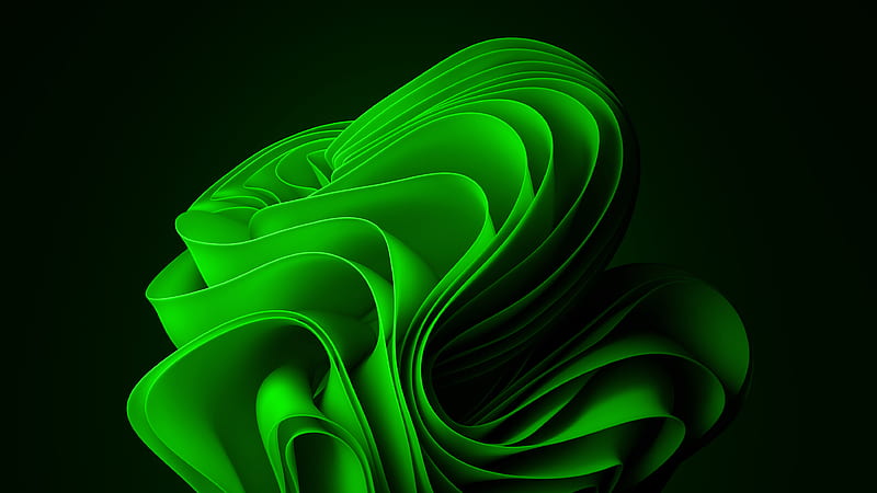 Green Wallpapers Free HD Download 500 HQ  Unsplash