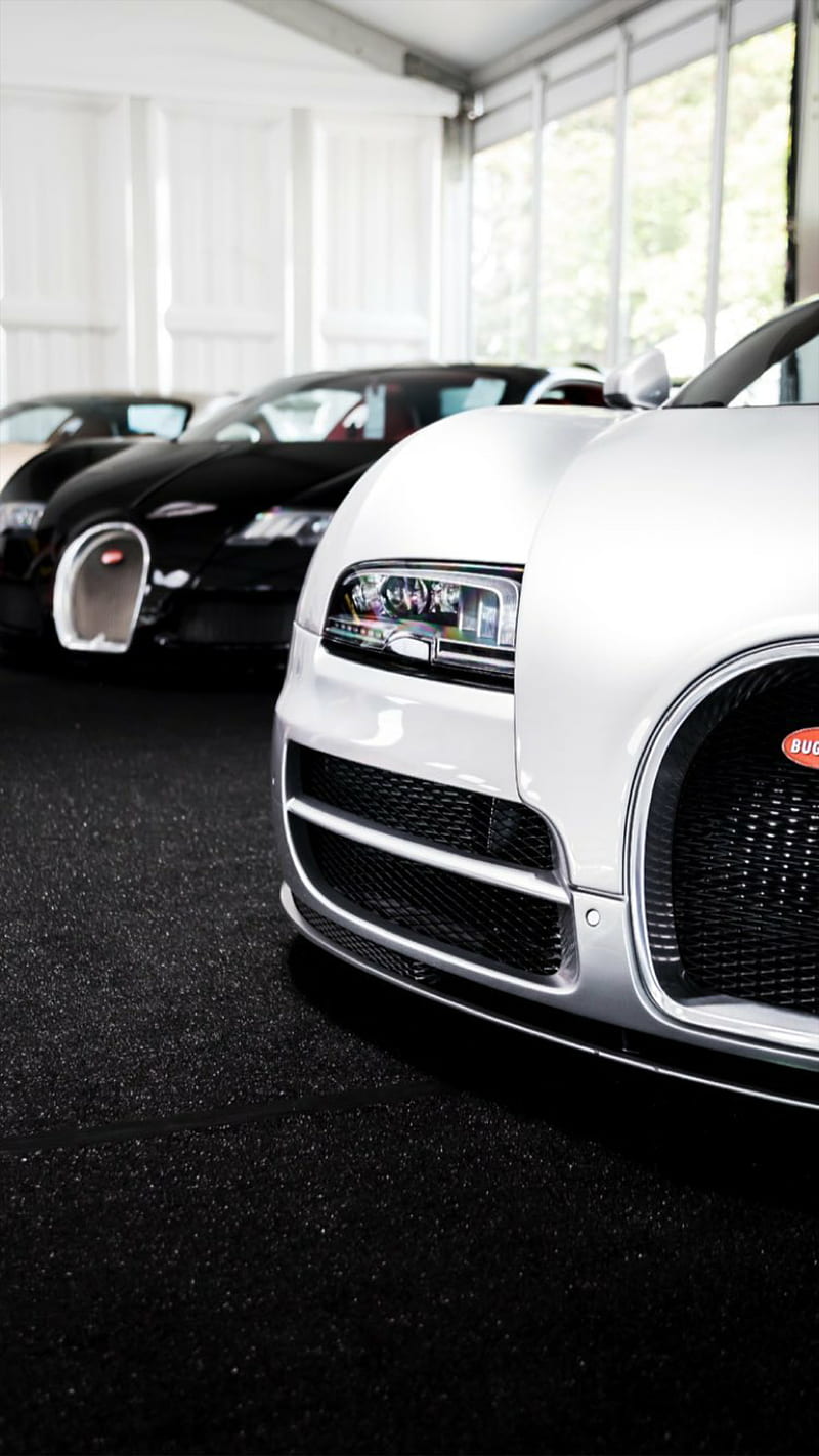 Bugatti showroom, bugatti, veyron, white, car, hypercar, supercar, sports, america, HD phone wallpaper